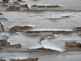 texture en bois avec de la vieille peinture blanche. fond de planches de bois blanc