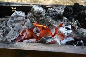 une Feu cette des brûlures tout cette brûlures. photo