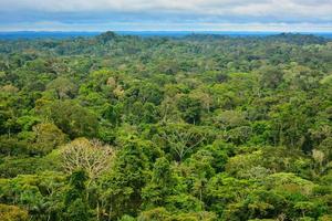 vue sur la région amazonienne photo