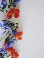 cadre fait de fleurs rouges et bleues photo