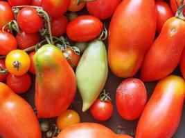 légumes tomates rouges photo