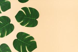 Créatif la nature modèle composition fabriqué avec vert tropical monstera feuilles sur le sable Couleur Contexte avec copie espace. minimal été jungle ou forêt modèle Contexte image. exotique plat poser. photo