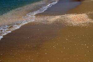 sablonneux plage sur le rivages de le méditerranéen mer dans nord Israël. photo