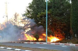 une Feu cette des brûlures tout cette brûlures. photo