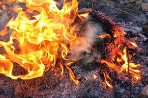 une Feu cette des brûlures tout cette brûlures. photo