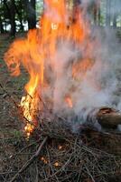 une Feu cette des brûlures tout cette brûlures. photo