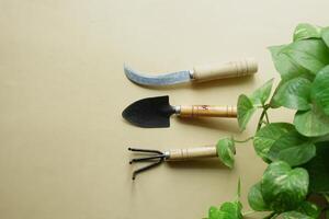 main outil, peindre brosse, et coutellerie sur table avec plante photo