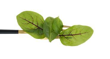Frais vert Ton de le salade feuilles sur or fourchette isolé sur blanc photo