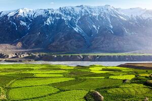 Spiti vallée dans himalaya. Himachal pradesh, Inde photo