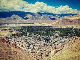 aérien vue de ouais. ladakh, Inde photo