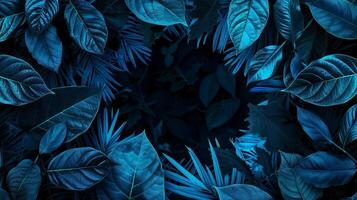 une bleu néon Cadre avec feuilles sur foncé Contexte. photo