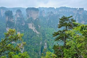 zhangjiajie montagnes, Chine photo