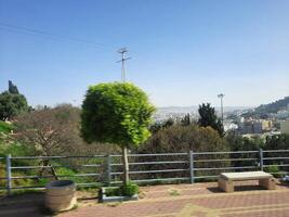 Abha, saoudien Saoudite, 12 avril 2024 - une magnifique vue de des arbres et herbe dans une parc près le célèbre le art rue dans Abha, saoudien Saoudite. photo