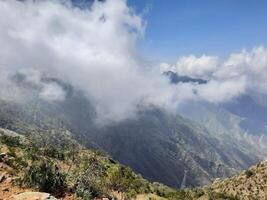 Stupéfiant Naturel beauté de abha dans saoudien Saoudite dans le été saison. haute montagnes, verdure, faible des nuages et brouillard sont le beauté de abha. photo