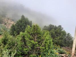 Stupéfiant Naturel beauté de abha dans saoudien Saoudite dans le été saison. haute montagnes, verdure, faible des nuages et brouillard sont le beauté de abha. photo
