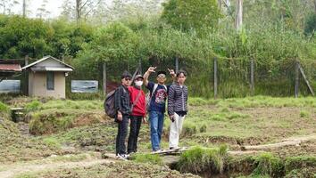 bandung, Ouest Java, Indonésie, mai 7, 2022, touristes prendre plaisir le atmosphère de une thé jardin tour avec nombreuses cerf photo