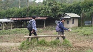 bandung, Ouest Java, Indonésie, mai 7, 2022, touristes prendre plaisir le atmosphère de une thé jardin tour avec nombreuses cerf photo