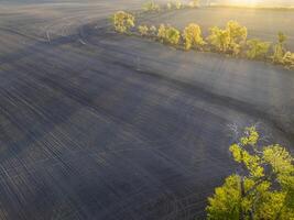 printemps aérien vue de labouré blé des champs dans central Missouri à lever du soleil photo