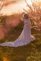 femme épanouissement pêche verger. contre le toile de fond de une pittoresque pêche verger, une femme dans une longue blanc robe jouit une paisible marcher dans le parc, entouré par le beauté de la nature. photo