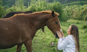 une femme est caresse une marron cheval dans une champ. le cheval est permanent suivant à une femme dans une blanc sweatshirt à capuche. photo