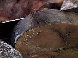 Frais espadon Fruit de mer à ortigie syracuse sicile poisson marché Italie photo