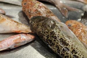jamais Frais poisson Fruit de mer à ortigie syracuse sicile poisson marché Italie photo