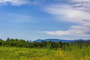 magnifique paysage de montagne et de forêt avec prairie verte en slovénie. photo