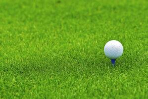 Jeu dans le le golf club contre le Contexte de le vert juteux herbe photo