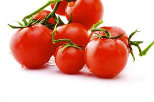 mûr tomates sur une branche sur une blanc Contexte photo