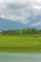 Jeu dans le le golf club contre le Contexte de le vert juteux herbe photo