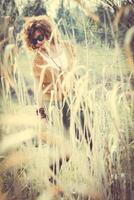 mode coup de une magnifique boho style fille sur la nature Contexte. bohème, hippie photo