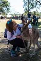 magnifique fille avec kangourou dans le nationale parc, Brisbane, Australie photo