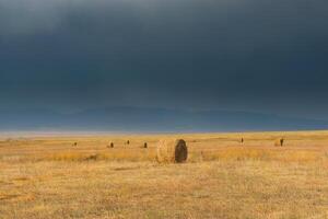 rural paysage, champ après le récolte à lever du soleil. photo