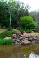 toowoomba carnaval de fleurs photo