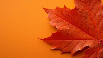 ai généré de une proche en haut photo de une rougeâtre l'automne feuille avec Vide espace pour texte, dans le style de vibrant et animé teintes, vibrant étape toiles de fond, Nord Ouest école, or et cramoisi.