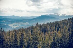 paysage dans le montagnes Carpates Ukraine l'automne saison photo