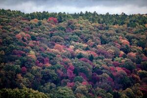 Pennsylvanie tomber couleurs photo