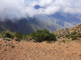 Stupéfiant Naturel beauté de abha dans saoudien Saoudite dans le été saison. haute montagnes, verdure, faible des nuages et brouillard sont le beauté de abha. photo