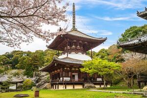 daïto pagode de négoro ji temple dans iwade ville de Wakayama, Kansaï, Japon photo