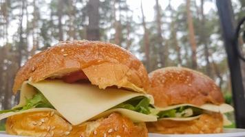 gros plan de deux gros hamburgers de bricolage dans le parc sur un barbecue, repos et cuisson sur un pique-nique en été, nourriture, délicieuses couleurs vives. concept de nourriture malsaine. Fast food. photo