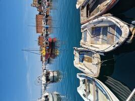 une bleu héron sur le bateau de Père Noël margherita dans baie de Portofino vue sur ensoleillé journée photo