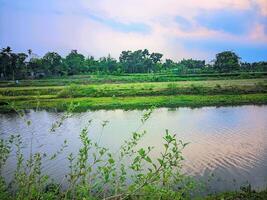 une rivière avec une petit étang et des arbres dans le Contexte photo