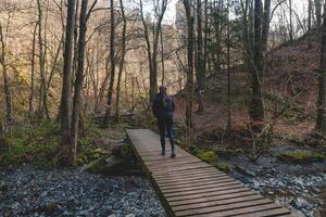 femme des promenades le long de une en bois chemin dans le wallonie Région de Belgique. explorant le région sauvage à Reinhardstein Château dans Belgique photo