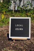 lettre planche avec texte local grandi sur Contexte de jardin lit avec cloche poivrons. biologique agriculture, produire local des légumes concept. justificatif local Les agriculteurs. saisonnier marché photo