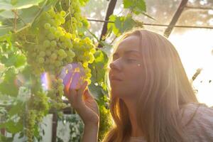 ferme ouvrier récolte vert les raisins dans Extérieur vignobles. concept de en bonne santé en mangeant fait maison verdure des fruits. saisonnier campagne chalet coeur vie. vigneron ferme produire photo