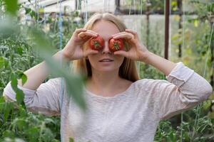 content blond femme en portant rouge tomates plus de yeux dans serre. femelle agriculteur ayant amusement dans vert jardin tandis que récolte saisonnier biologique mûr des légumes. localement grandi concept photo