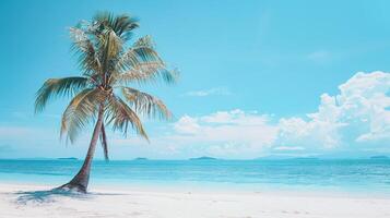 paume arbre solitude sur parfait plage avec fond pour serein Voyage et été les publicités photo