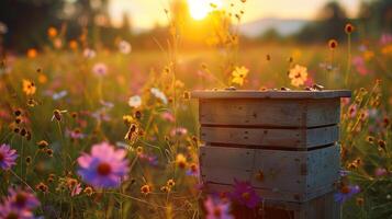 en bois abeille ruche dans le milieu de fleur champ photo