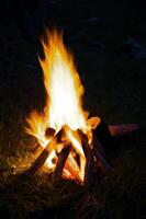 une petit feu de camp construit en plein air pour gens à asseoir autour photo