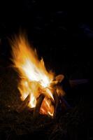 une petit feu de camp construit en plein air pour gens à asseoir autour photo